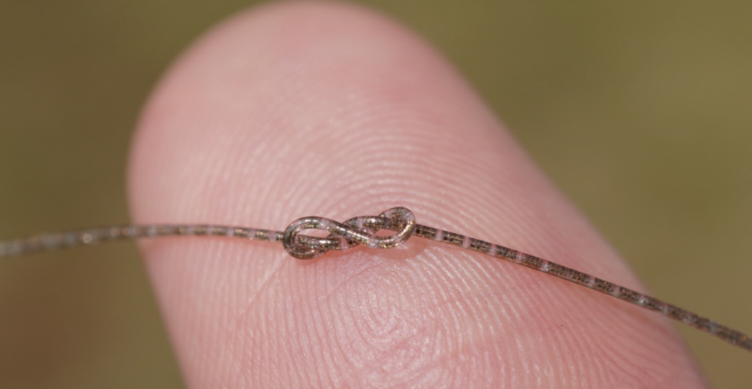 （来源：https://www.nature.com/articles/s41586-025-09974-0）