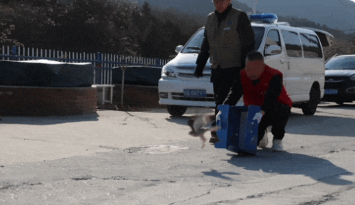 放归现场。图/“北京顺义”微信公众号