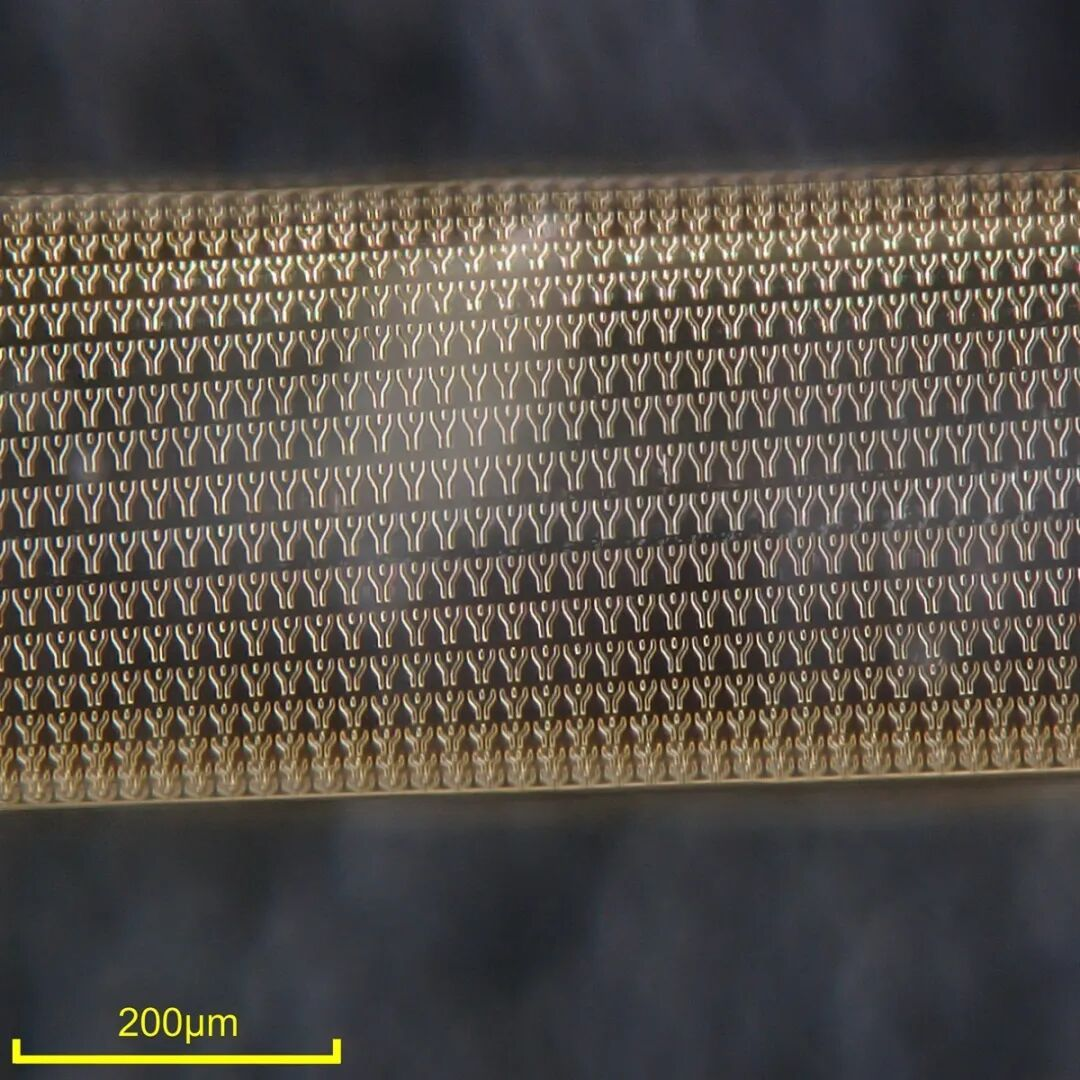 （来源：https://www.nature.com/articles/s41586-025-09974-0）