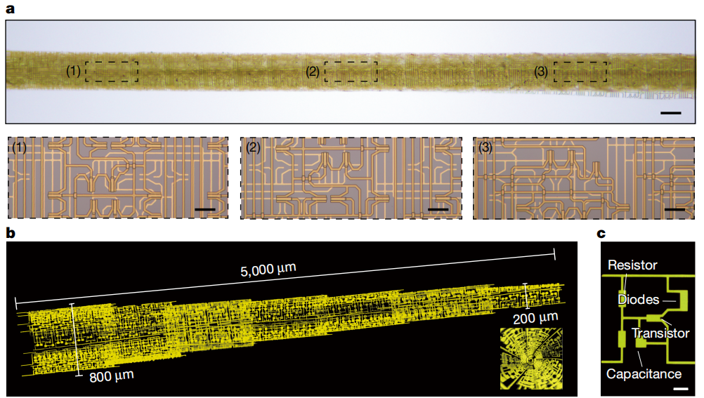 （来源：https://www.nature.com/articles/s41586-025-09974-0）