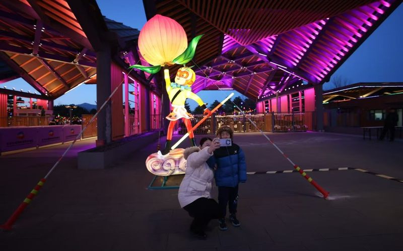 市民在花灯前合影。新京报记者 陶冉 摄