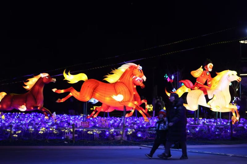 市民在花灯前走过。新京报记者 陶冉 摄