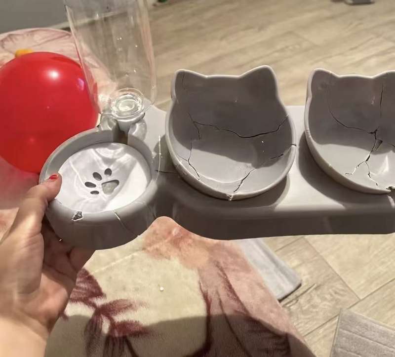 AI打造的“破碎猫碗”。受访者供图