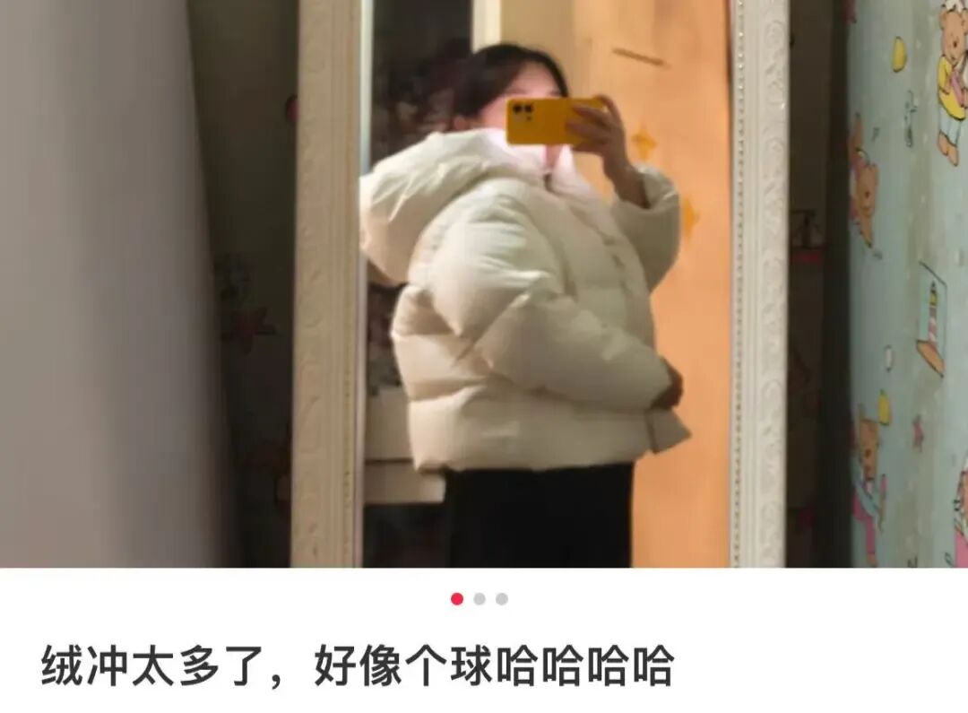 图源：@排骨玉米炖萝卜