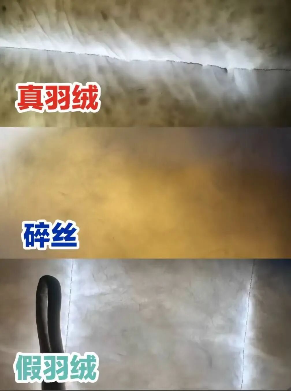 图源：@冰鳞羽绒