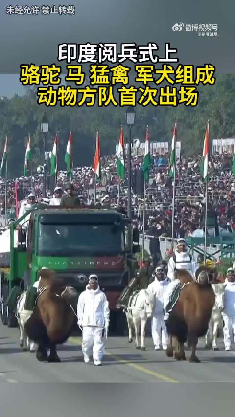 印度阅兵，动物方队亮相