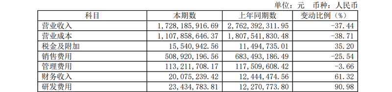 图/丽人丽妆2024年年报截图