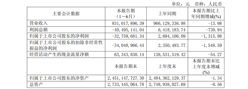 图/丽人丽妆2025年半年报截图