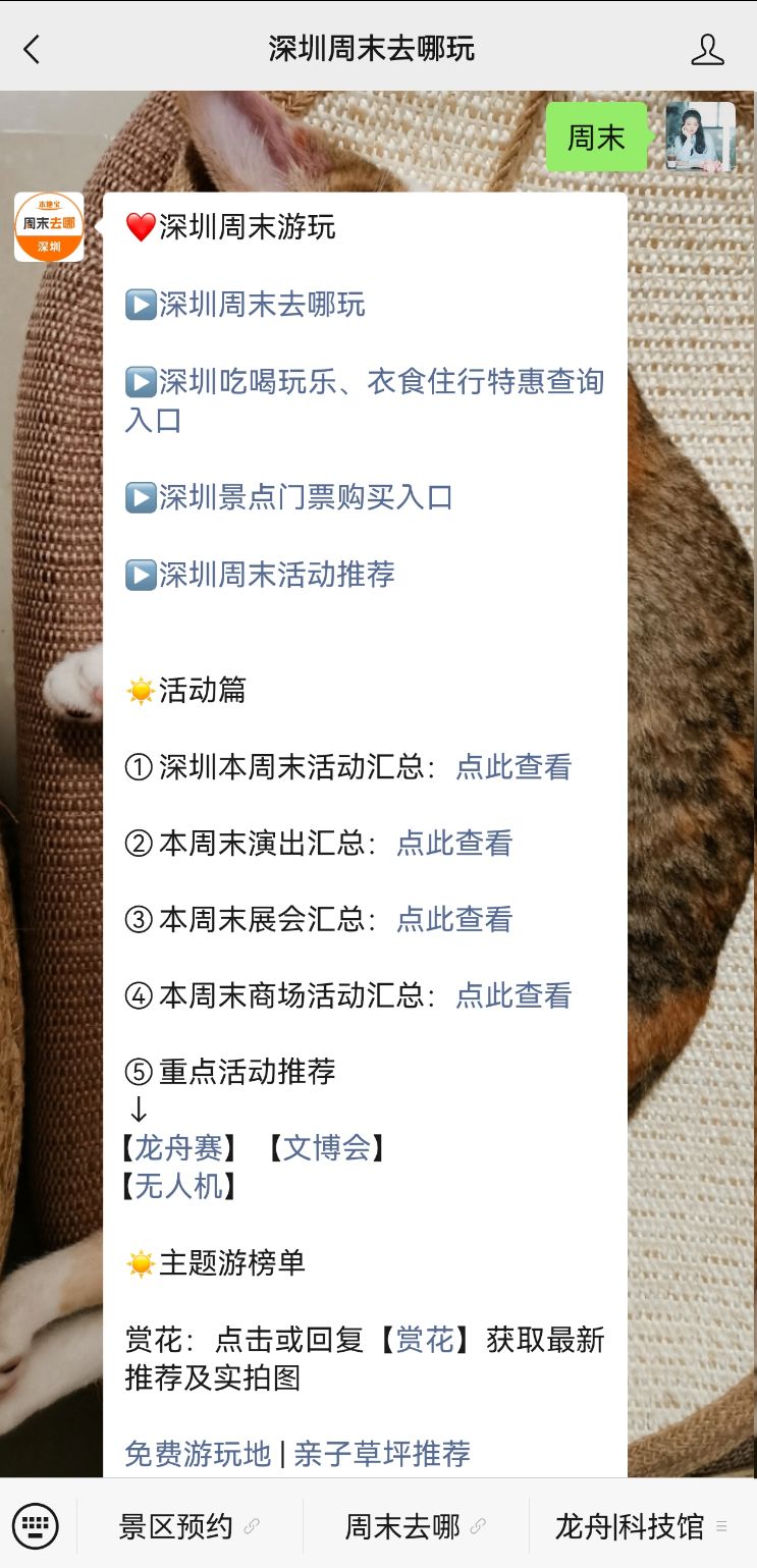 2026深圳周末活动汇总(每周更新)|深圳市|广东省|景点|免费|去处_新浪新闻