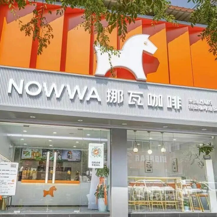 年度黑马挪瓦咖啡，凭什么获明星机构一致加注？