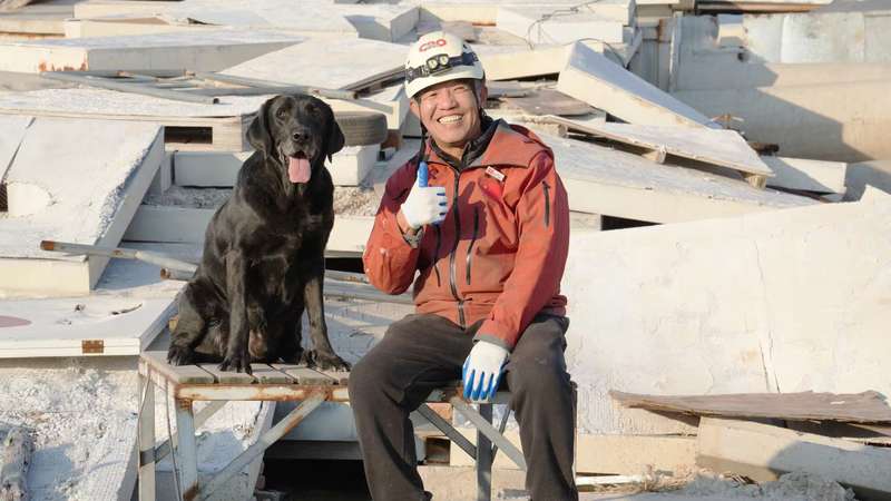 北京顺义区木林镇大韩庄村，钟鸣和搜救犬子歇（黑色拉布拉多）在CRO应急搜救犬训练中心。受访者供图