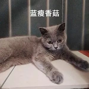 结婚后我偿还了建房子的外债，现在男方想让我净身出户，我该怎么办？