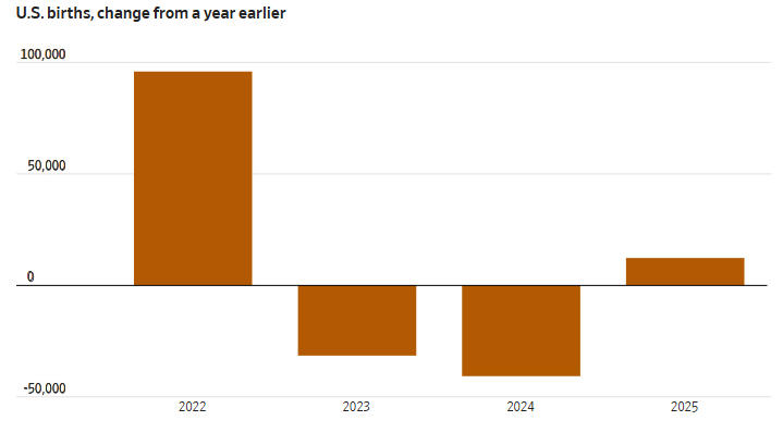 美国出生人口与一年前相比变化 《华尔街日报》制图（下同）