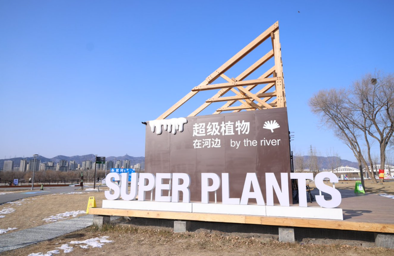 “永定河集”。主办方供图