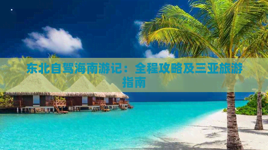 东北自驾海南游记:全程攻略及三亚旅游指南|海南省|三亚市|泰山|旅程|海南岛_新浪新闻