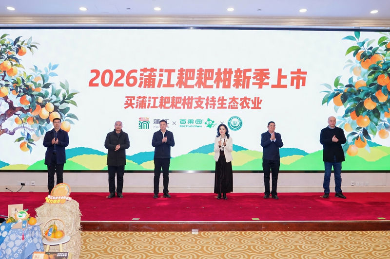 1月28日，蒲江县副县长彭东（左三）和百果园集团总裁徐艳林（左四）共同宣布蒲江耙耙柑新季上市。受访者供图