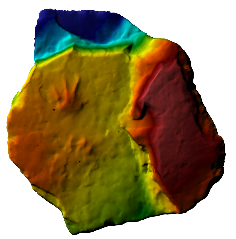 足迹化石标本三维成像。邢立达供图