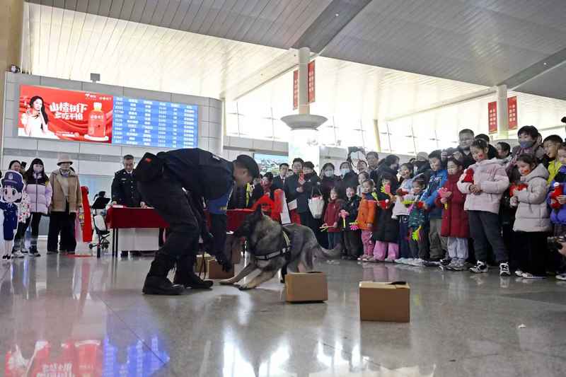 车站候车大厅内，民警带着警犬进行搜物表演。天津铁警供图