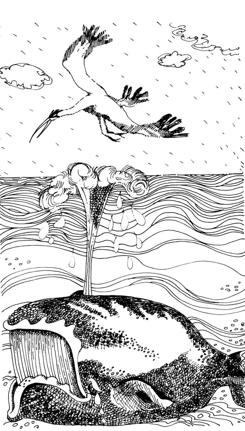 书中《在鲸鱼非常非常小的时候》一篇的插图。