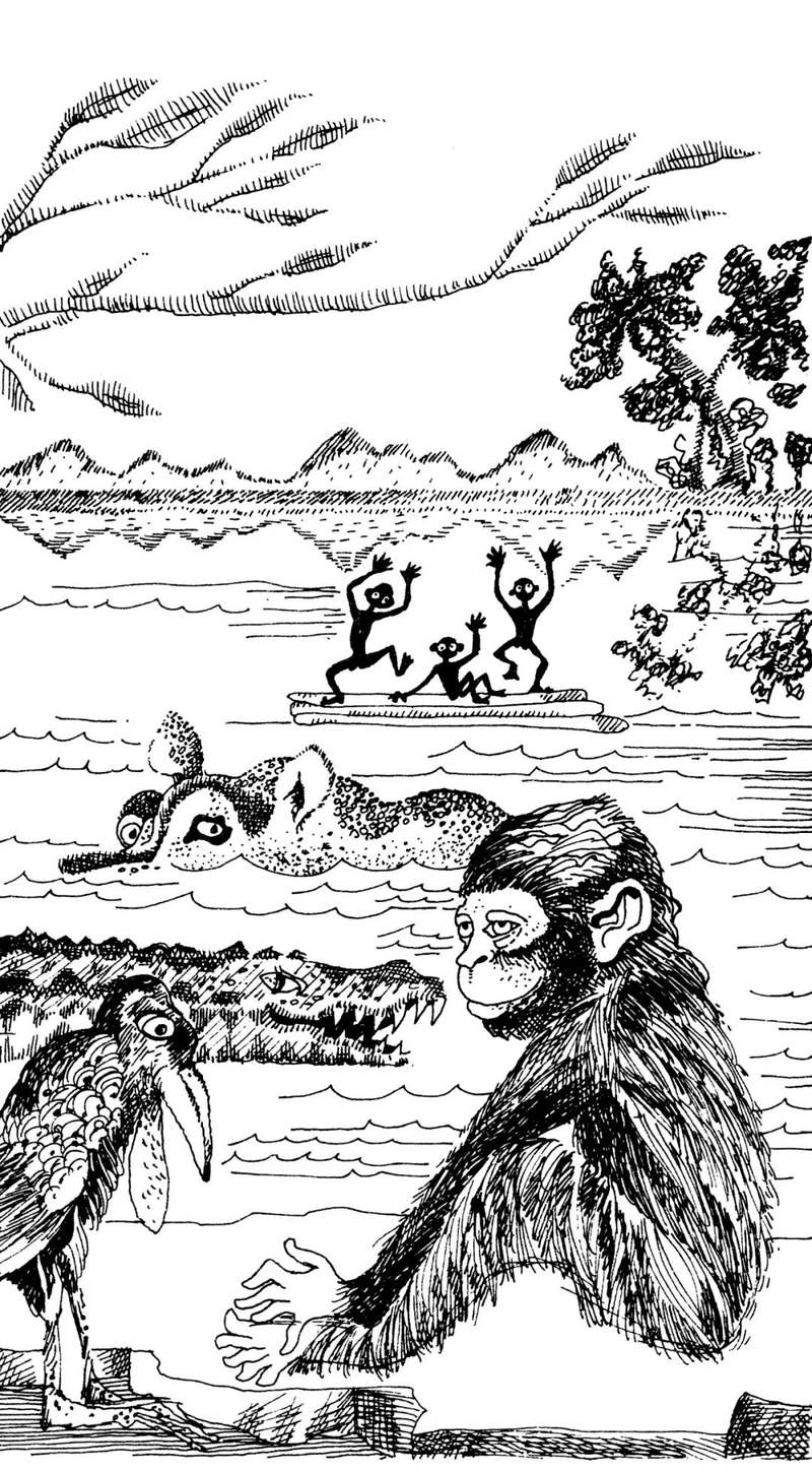 书中《顺着扎伊尔的河流》一篇的插图。