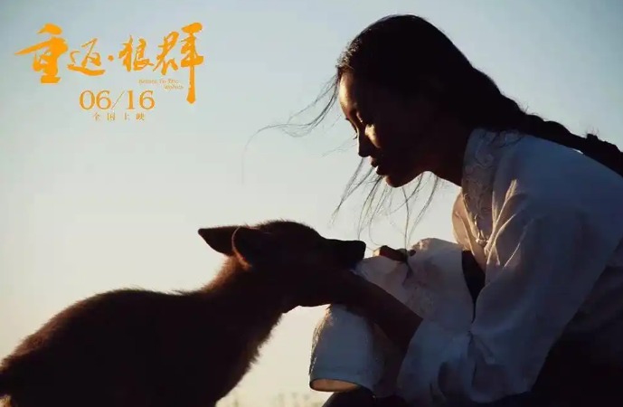 今天,我们如何“看见”一匹狼?——纪录片《重返·狼群》的生命伦理叙事_新闻|格林|李微漪|影片|荒野|人类_新浪新闻