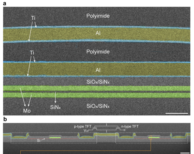 （来源：https://www.nature.com/articles/s41586-025-09931-x）