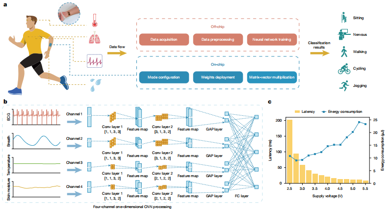 （来源：https://www.nature.com/articles/s41586-025-09931-x）