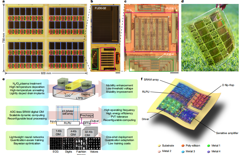 （来源：https://www.nature.com/articles/s41586-025-09931-x）