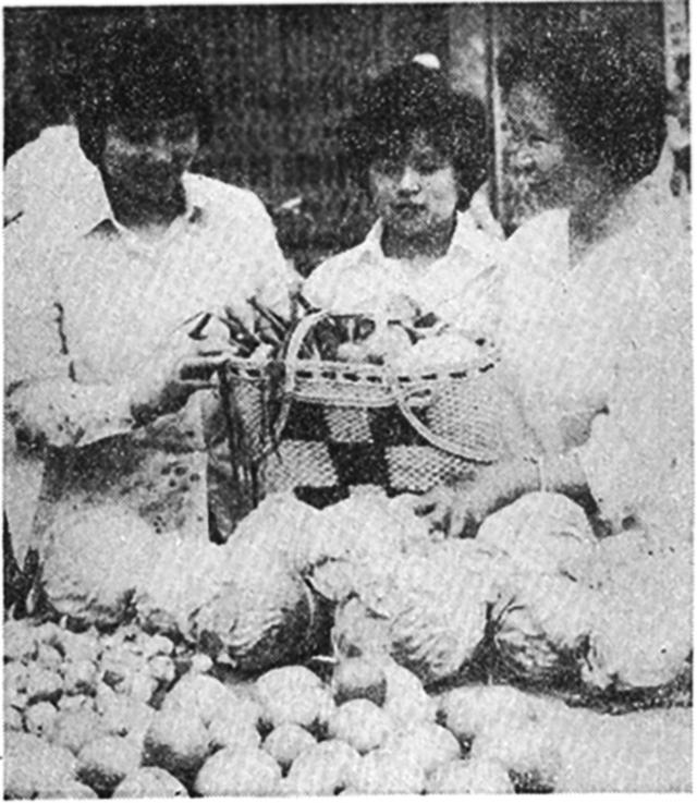 1987年，紫竹院街道工作人员领新来的家庭服务员上街买菜。徐军摄