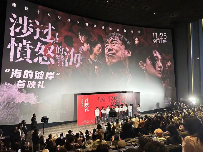 爱是愤怒 (2026) 4K HDR SDR 高码率 DTS5.1+DDP5.1+HIFI 7Audios 内嵌中英双字【共27.6GB】王安宇/王玉雯