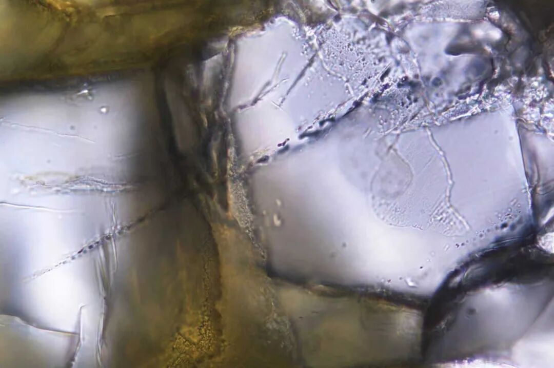 蛇绿岩橄榄岩矿物橄榄石中含天然氢气的线性排列流体包裹体。研究团队供图