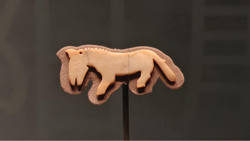 妇好墓出土的玉马，也是国内目前所知最早的马形象，正在中国考古博物馆展出。图源：中国历史研究院