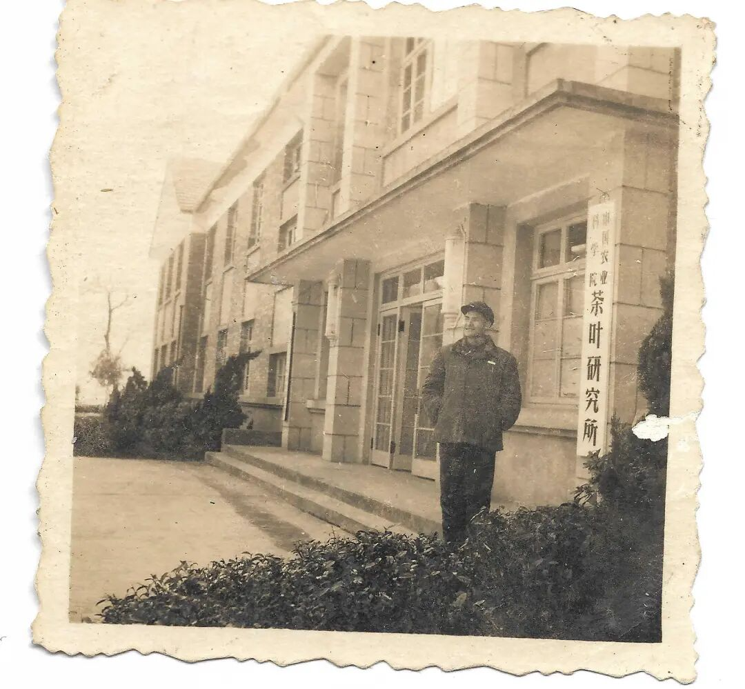 这就是中国茶人精神!“恩施玉露宗师”杨胜伟的一生坚守|恩施玉露及其制作技艺_新浪财经_新浪网