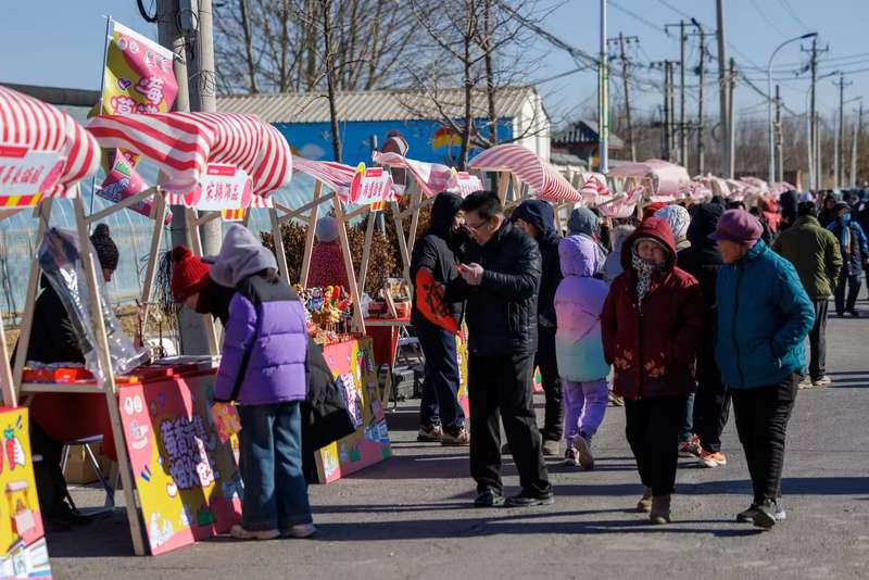 游客在“莓香市集·烟火苍上”主题市集购物。新京报记者 王子诚 摄
