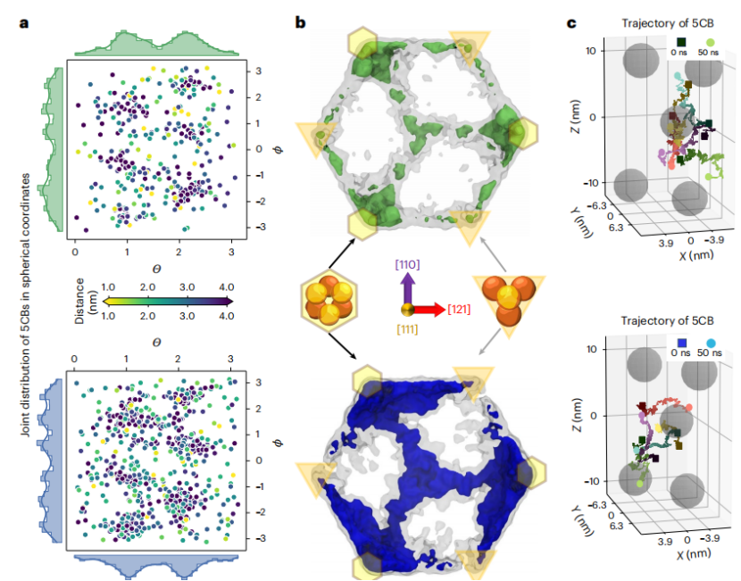 （来源：https://doi.org/10.1038/s41563-025-02388-3）