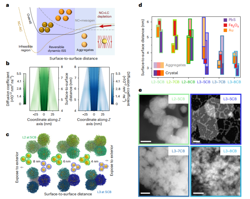 （来源：https://doi.org/10.1038/s41563-025-02388-3）