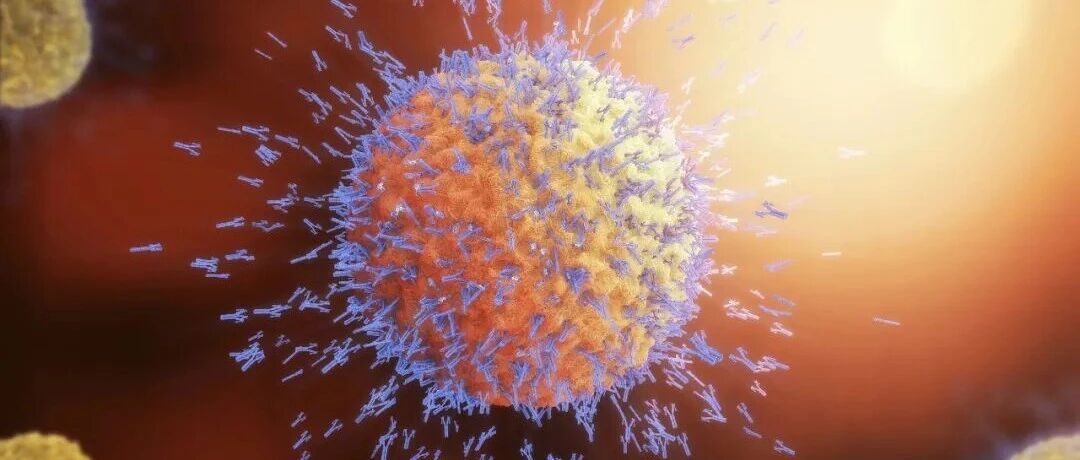 全球首个！千万级免疫细胞图谱成功绘制，有望提供未来治疗方案