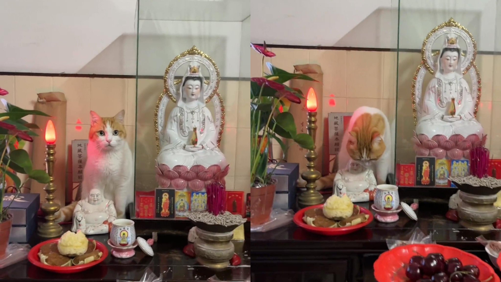 家里摆放神位,什么朝向最好?很多人都选错了,难怪得不到庇佑