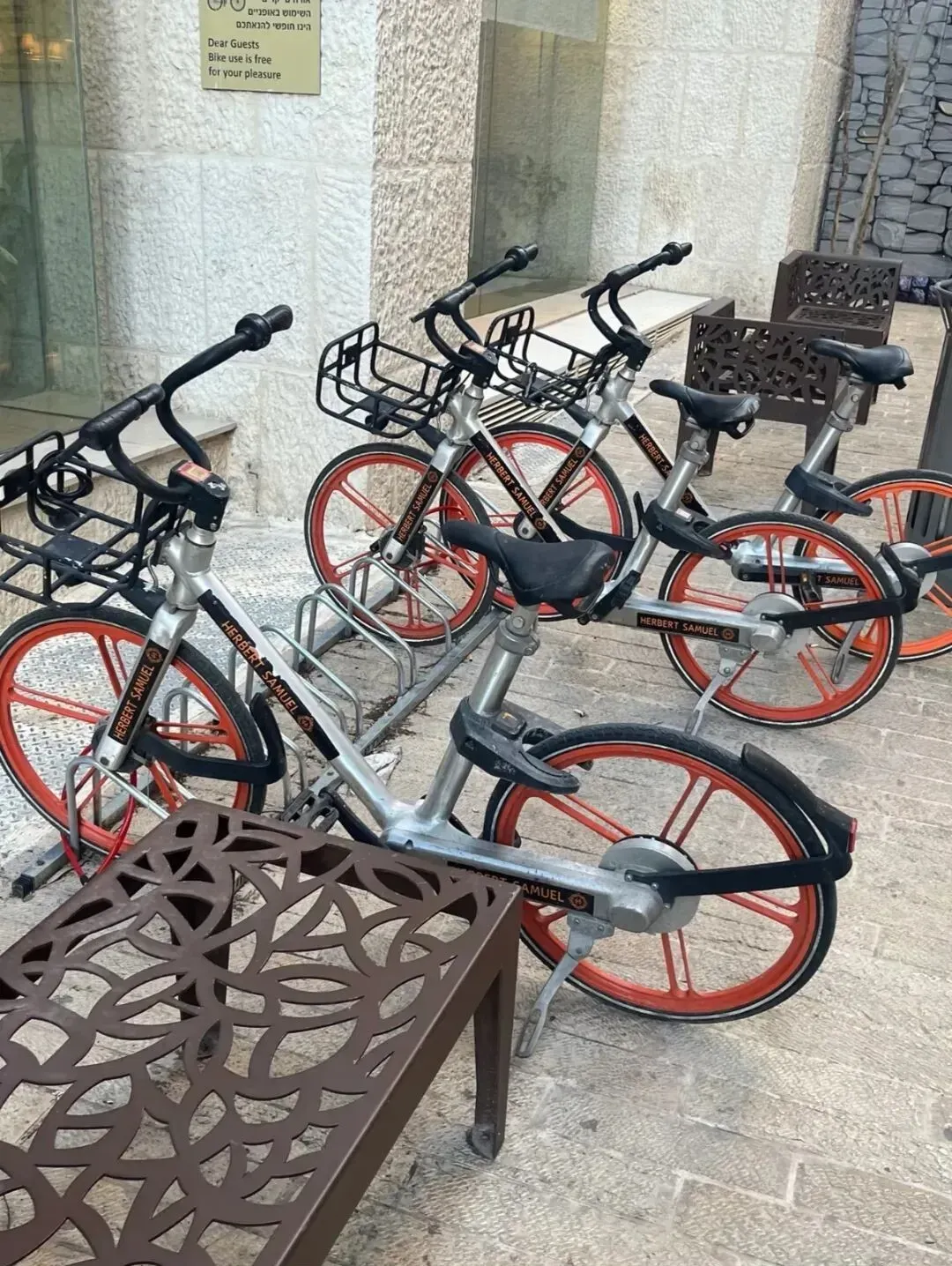 在耶路撒冷。图源小红书@Aryeh ZH