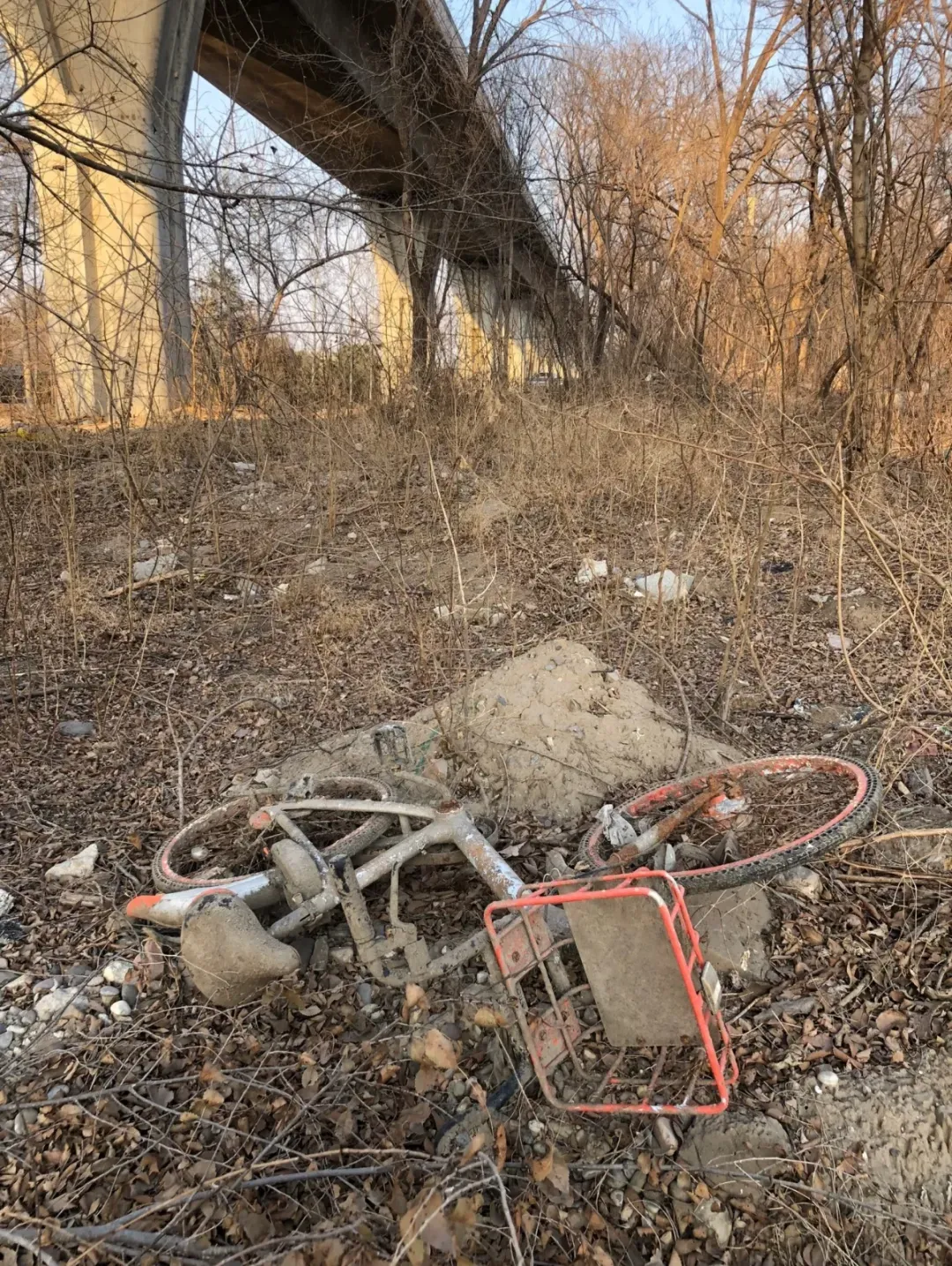 在北京顺义。图源小红书@徐美兔