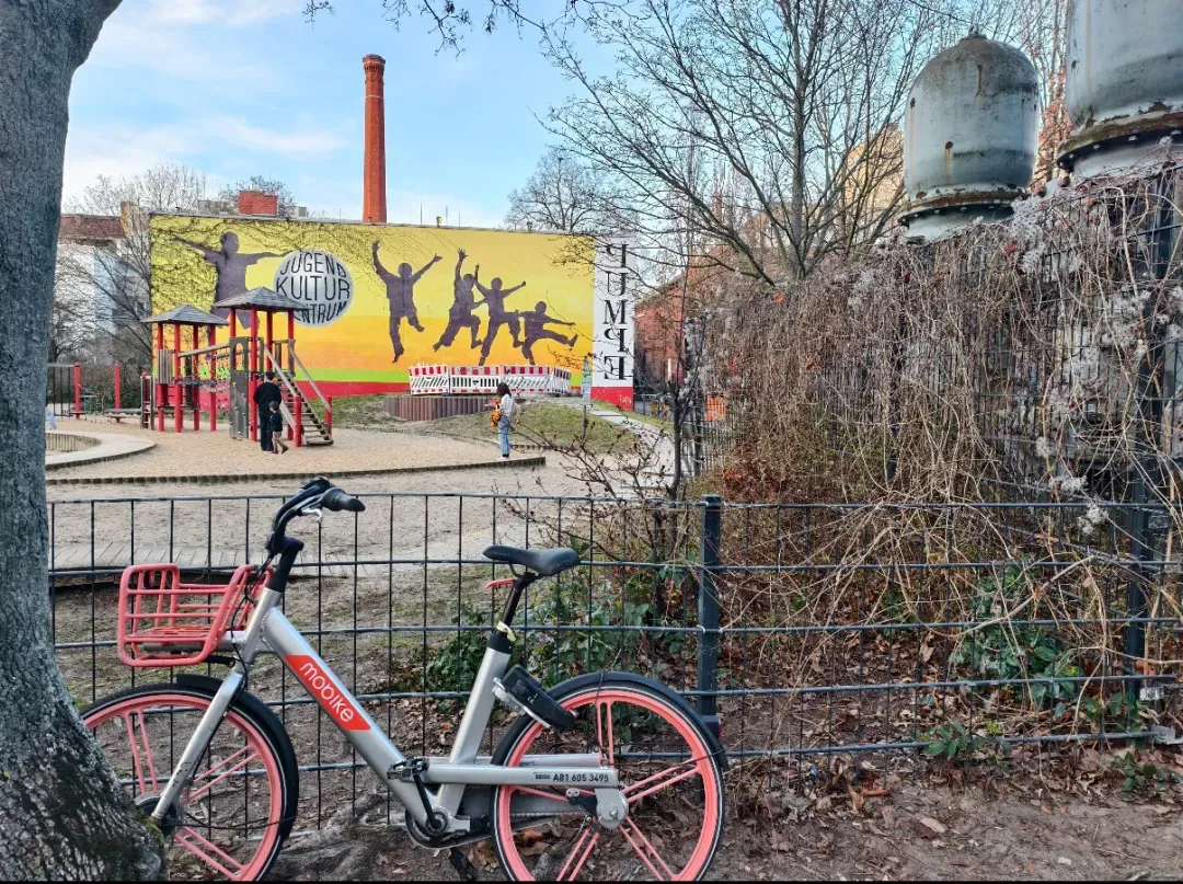 在柏林。图源小红书@David大大