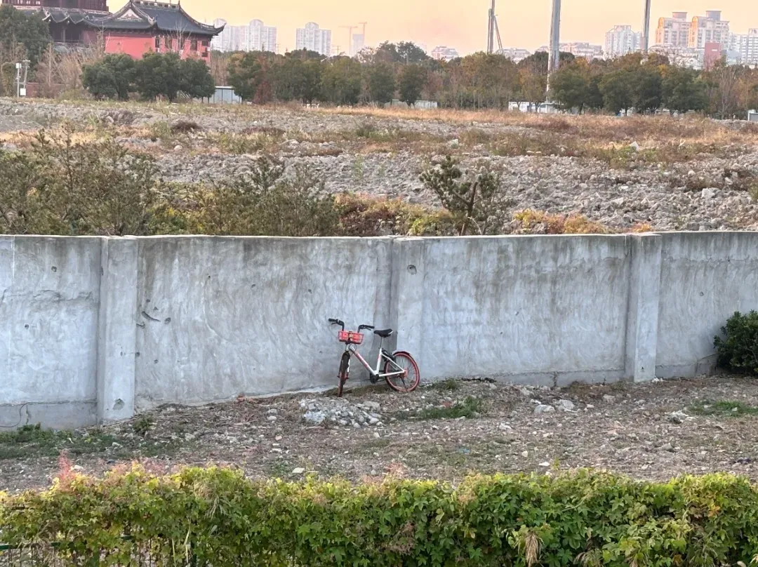 在上海。图源小红书@MOMOMO