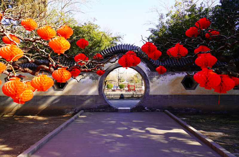 春节临近，地坛公园内年味渐浓。图/IC photo
