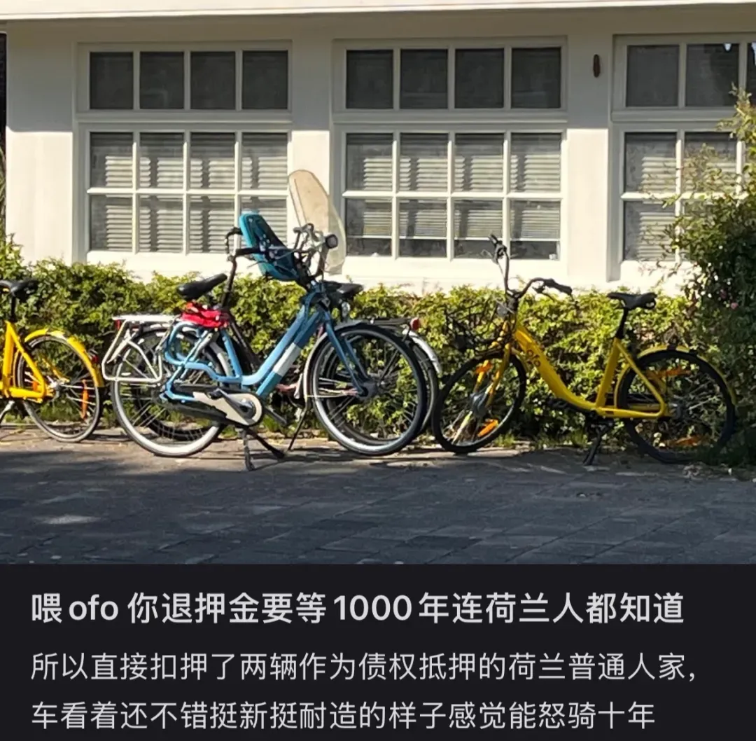 在荷兰。图源小红书@纯素臭豆腐咖喱肠