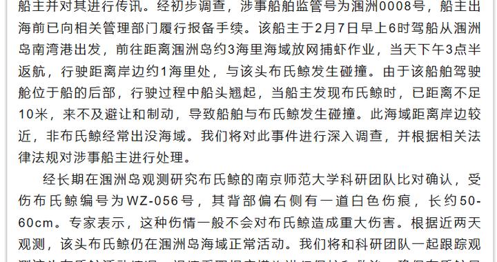 渔船撞击网红鲸鱼，官方通报