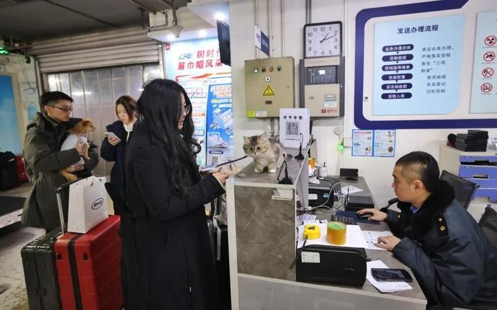 2月12日下午，中铁快运北京南站营业部，旅客正在办理宠物托运业务。新京报记者 王贵彬 摄