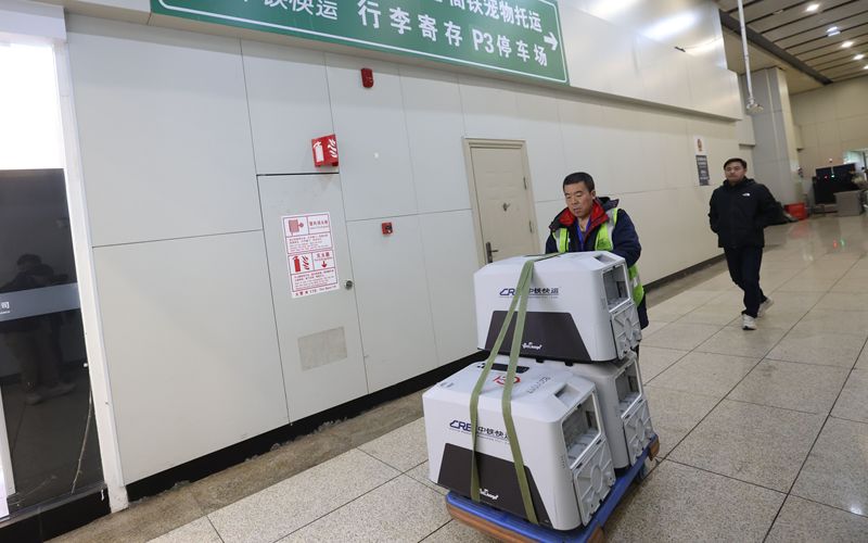 中铁快运的工作人员正在运送乘坐G2557次列车的“宠物旅客”。新京报记者 王贵彬 摄