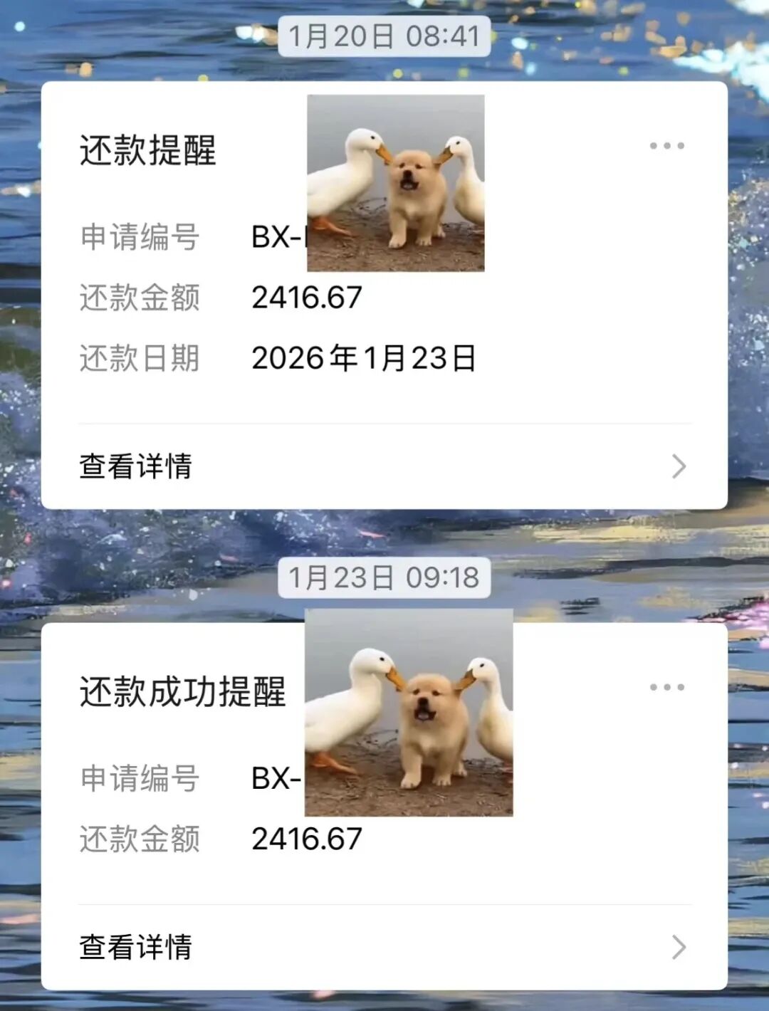 王小花的每月还款提醒。（图/受访者供图）