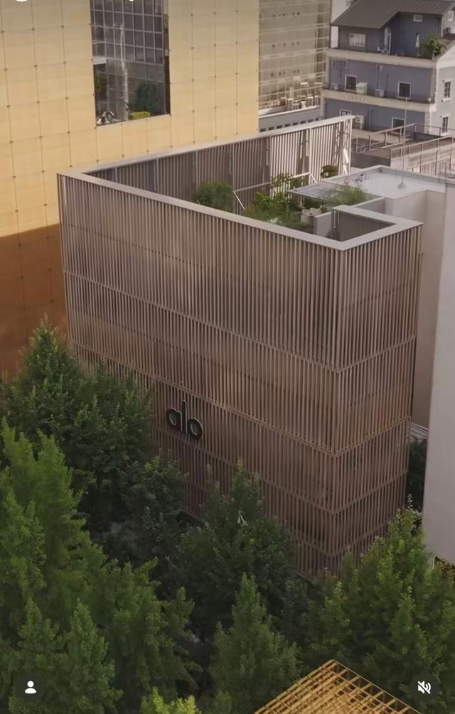 Alo首入香港，是“跳板”还是“终点站”？|香港_新浪财经_新浪网