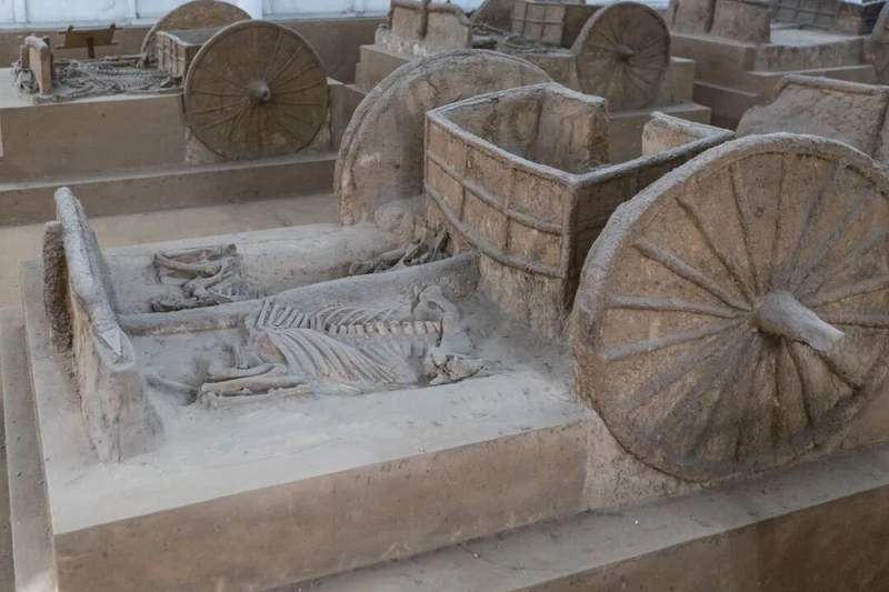 〔商〕车马坑，中国社会科学院考古研究所藏。